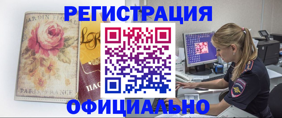 временная регистрация поиск в Болотном